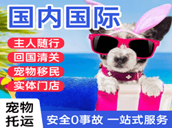 丹东机场空运国际宠物托运 【国